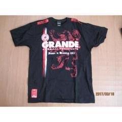 GRANDE WEMBLEY FINAL 2013  バイエルン Tシャツ GRANDE WEMBLEY FINAL 2013 バイエルン Tシャツ - メルカリ