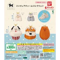 Maison terrier ミニチュアチャームコレクション 全5種
