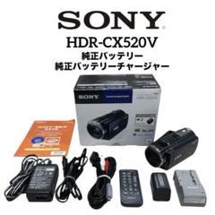 2025年最新】HDR-CX520Vの人気アイテム - メルカリ