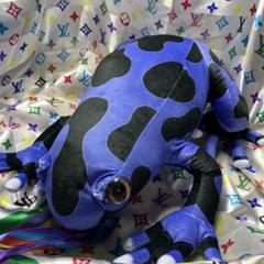 【新品未使用】毒ガエル　ぬいぐるみ　4種セット 2025年最新】毒ガエルぬいぐるみの人気アイテム - メルカリ