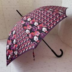 未使用♡高級傘FULTON DIAMOND COLLECTION  花柄ケース付 Amazon | 高級傘FULTON DIAMOND COLLECTION 花柄ケース付 | 長傘