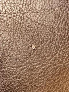 CHROME HEARTS - diamond