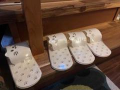 シューズホルダー　　猫のデザイン　12個