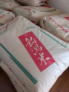 苺新潟県産コシヒカリ22kg 令和6年度 新潟県産コシヒカリ 22kg