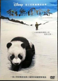 熊貓回家路 （台湾版）ディズニー映画
