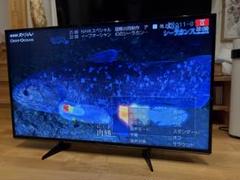 ※直接引き取り※ Panasonic ハイビジョン液晶テレビ　TH49EX600 概要 地上・BS・110度CSデジタルハイビジョン液晶テレビ TH