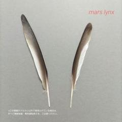 【匿名配送】コムクドリ オス メス 羽根 セット