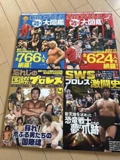 大日本プロレス　パンフレットセット 2025年最新】日本プロレス パンフレットの人気アイテム - メルカリ
