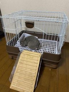 マルカン うさぎ ケージ すのこの中古 未使用品を探そう メルカリ