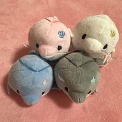 新品 未使用 みいるか ぬいぐるみ まとめ売り バラ売り不可 2025年最新】みいるかの人気アイテム - メルカリ