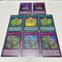 遊戯王 御巫舞踊ー迷わし鳥