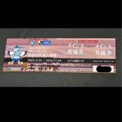 YSCC横浜　メインA席入場券　チケットのサムネイル