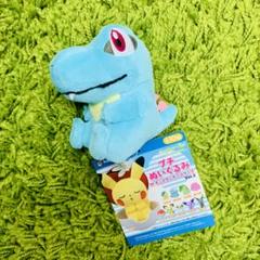 ポケモンセンターオリジナル マスコット Pokemon Petit ワニノコ