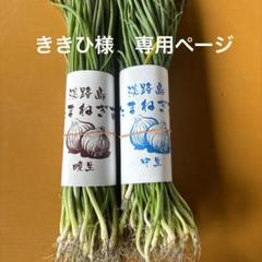 淡路島玉ねぎ苗（ターザン） 2025年最新】玉ねぎ苗 ターザンの人気アイテム - メルカリ