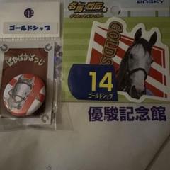 ゴールドシップ　まとめセット gsracefile0c.jpg