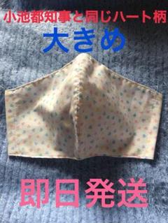 小池都知事 ハート柄インナーマスク ホーミーコレクション