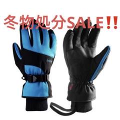 スキーグローブ 防寒 冬 雪上スポーツ スキー用手袋 アウトドア スポーツ乗馬