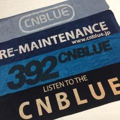 超初期】CNBLUE タオル レア