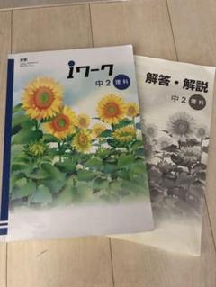 Amazon.co.jp: Iワーク