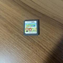 任天堂 DS みんなのどうぶつえん TAITO