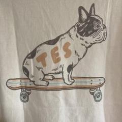 TES エンドレスサマー BUHI バックプリント ロゴ刺繍 tシャツ サイズM