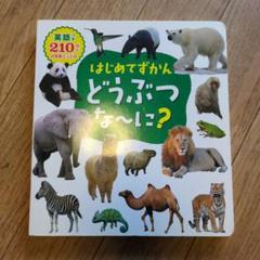 はじめてずかん どうぶつな～に?