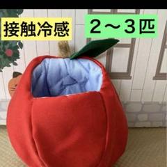 モモンガ　果物ポーチ　黄色　夏用　接触冷感ブランケット付き 2025年最新】フクロモモンガ ポーチ 夏の人気アイテム - メルカリ