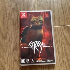 Switch Stray 通常版