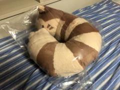 2025年最新】オオタチ クッションの人気アイテム - メルカリ