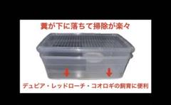 雫工房　フルセット！　デュビア用飼育・繁殖ケージ　中型　二重底上段メッシュ底構造 雫工房 デュビア用飼育・繁殖ケージ 中型 二重底上段メッシュ底構造