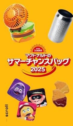 マクドナルド サマーチャンスバッグ 2025　グッズのみ