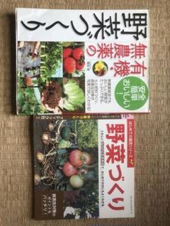 絶妙なデザイン 2025年最新】有機 野菜 無 農薬 野菜の人気アイテム - メルカリ 野菜