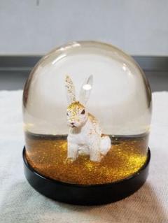 &k amsterdam　ワンダーボール