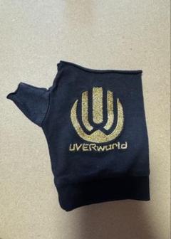 UVERworld グローブ ラババン アクスタ 2025年最新】UVERworld グローブの人気アイテム - メルカリ