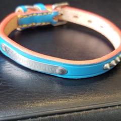 革☆ドギーマン☆小型犬☆首輪☆水色