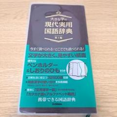 大きな字の現代実用国語辞典