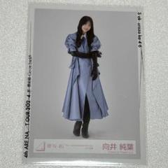 櫻坂46 向井純葉 4thアニラ衣装 生写真 直筆 サイン ヒキ 櫻坂46 向井純葉4th year anniversary live衣装 - メルカリ