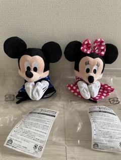 Disney - TDR ミッキー ミニー BIG ペアぬいぐるみの通販 by a's