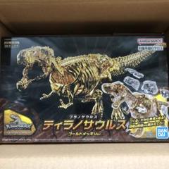 2025年最新】キャラパキ ティラノサウルスの人気アイテム - メルカリ