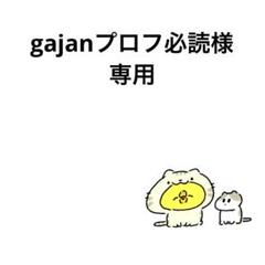 gajanプロフ必読様 リクエスト 2点 まとめ商品 - メルカリ