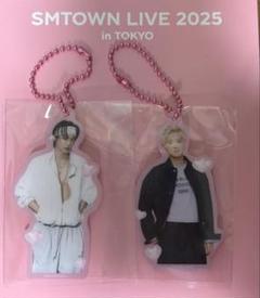 EXO EXIST ゲームカード　チャニョル　２枚 EXO EXIST 中国 中華 特典 チャニョル CHANYEOL トレカセット