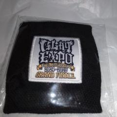 ⭐️おまけ付き⭐️GLAY EXPO ホログラム缶バッジ TERU・TAKURO