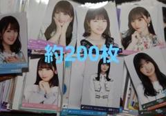 乃木坂46 生写真　約200枚　井上和川崎桜与田祐希五百城茉央等 乃木坂46 生写真 約200枚 井上和川崎桜与田祐希五百城茉央等