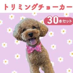 トリミングチョーカー 30本セット 水玉模様 - メルカリ
