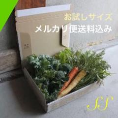 野菜詰め合わせ SS【5/26(火)発送】tomico〔メルカリ便〕 zo