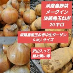 淡路島野菜詰め合わせ20キロ 淡路島産野菜詰め合わせ20キロ - メルカリ