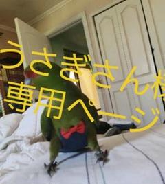 セキセイインコXSサイズ♥うさぎさん様専用ページ(^-^)/