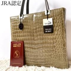 【GATSBY】JRA認定　ハンドバッグ　クロコダイル　薄いグリーン　大容量 2025年最新】jra クロコ グリーンの人気アイテム - メルカリ