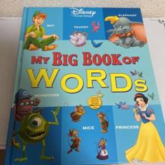 2冊セットディズニー マイ ビッグ ブック&ピクチャーディクショナリー 2025年最新】my big book of wordsの人気アイテム - メルカリ