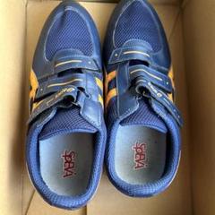 asics トレーニングシューズ 29cm